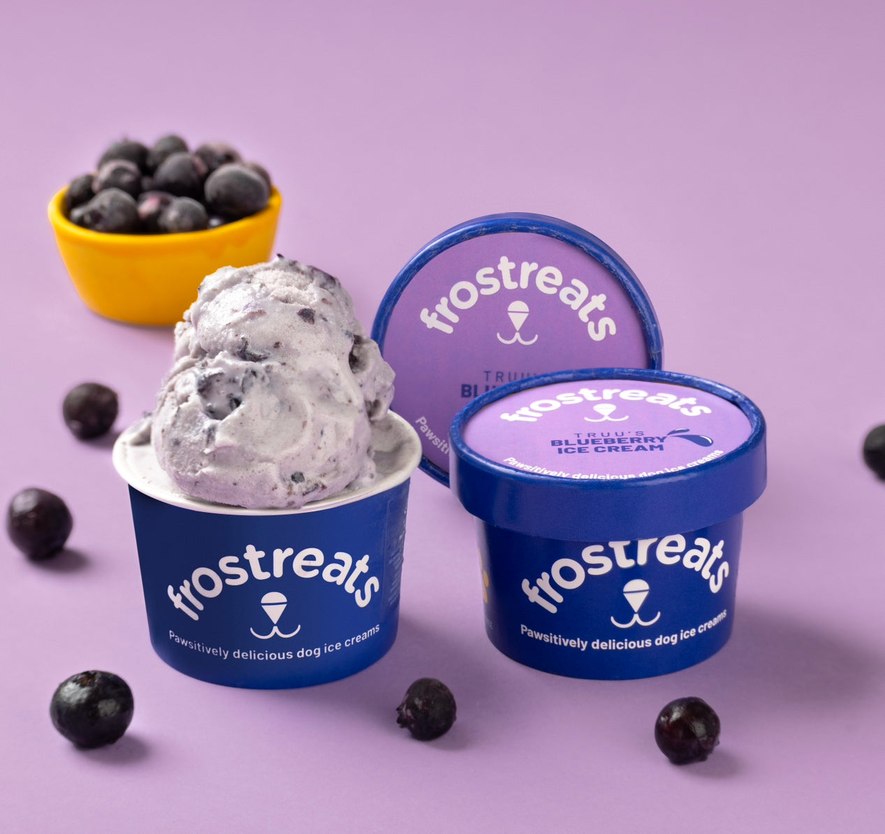 Truu’s Blueberry Ice Cream