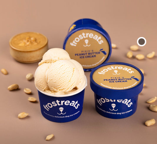 Pixie’s Peanut Butter Ice Cream