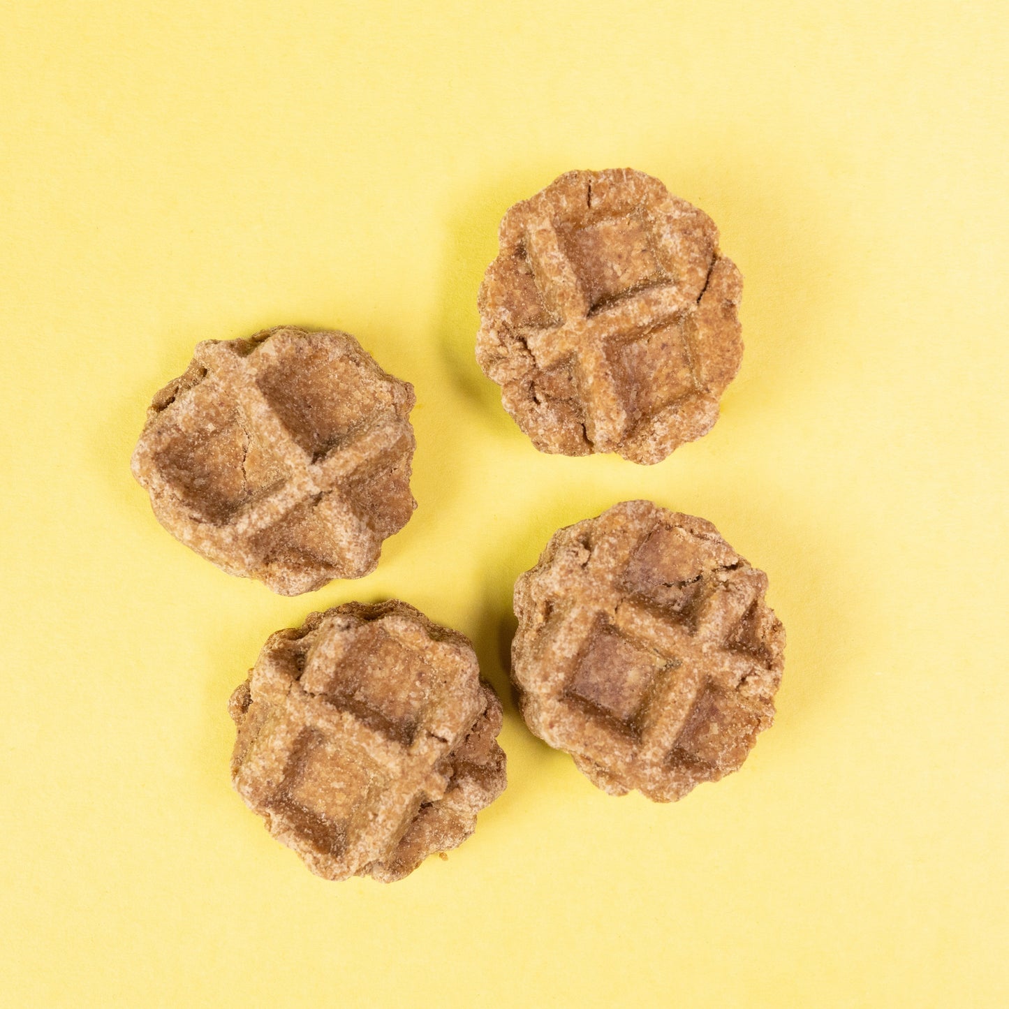 Dog Waffles by Frostreats