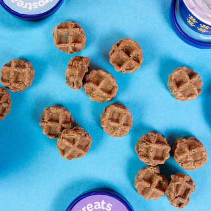 Dog Waffles by Frostreats