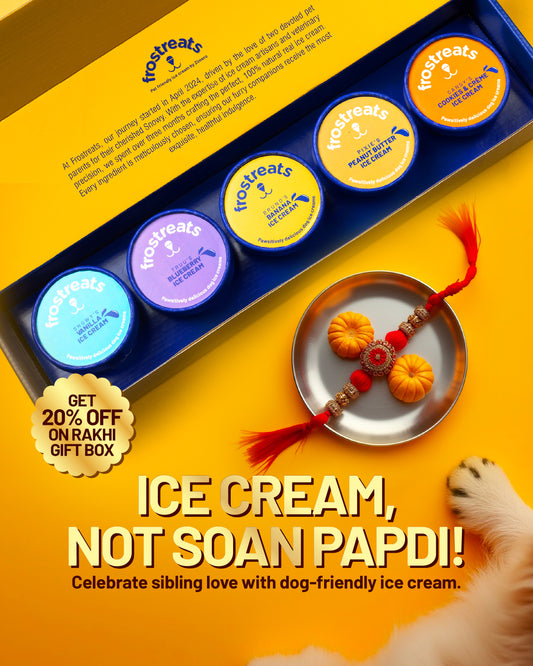 Rakhi Gift Pack for Dogs